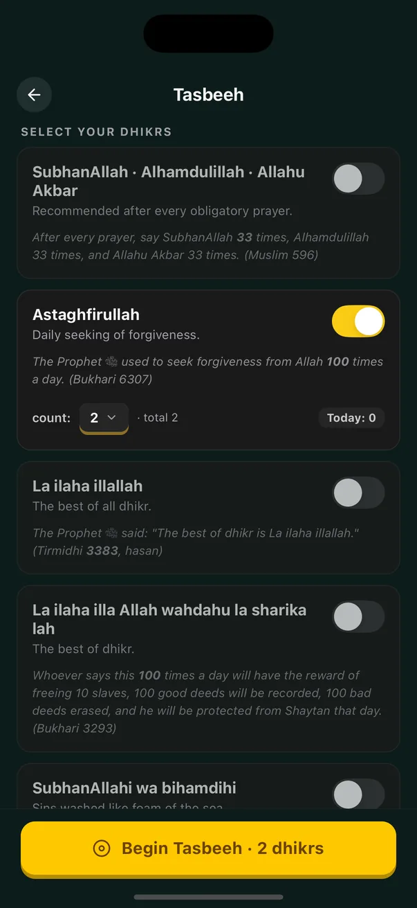 Popis zikrova u aplikaciji Quran Habit, sa ciljem za svaki zikr.